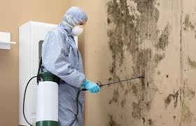 Mold Remediation for Rental Properties in Baxter, TN